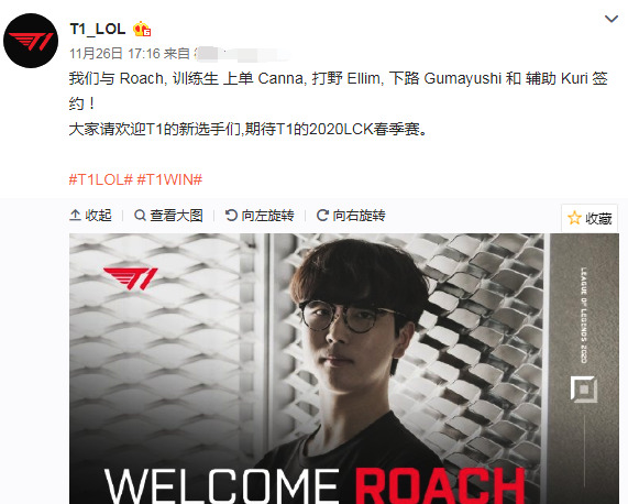 相似之处显 相似之处显