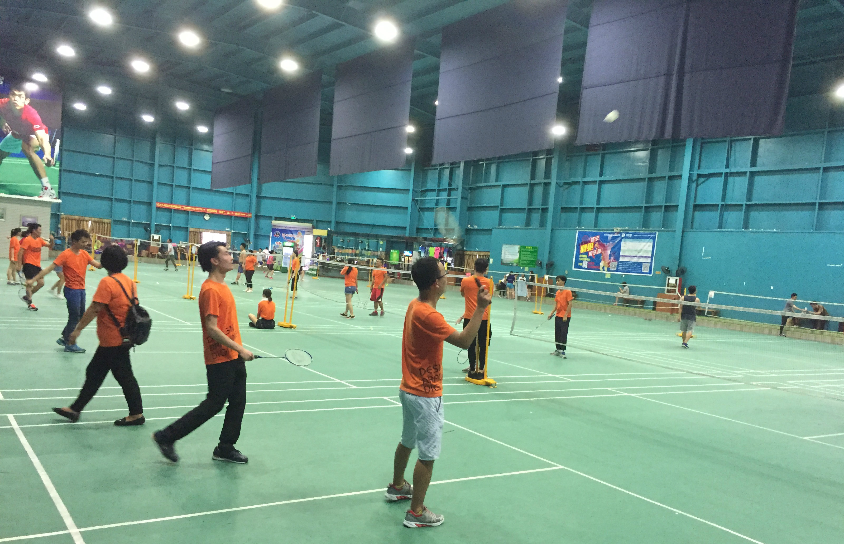 毛球职业生 毛球职业生