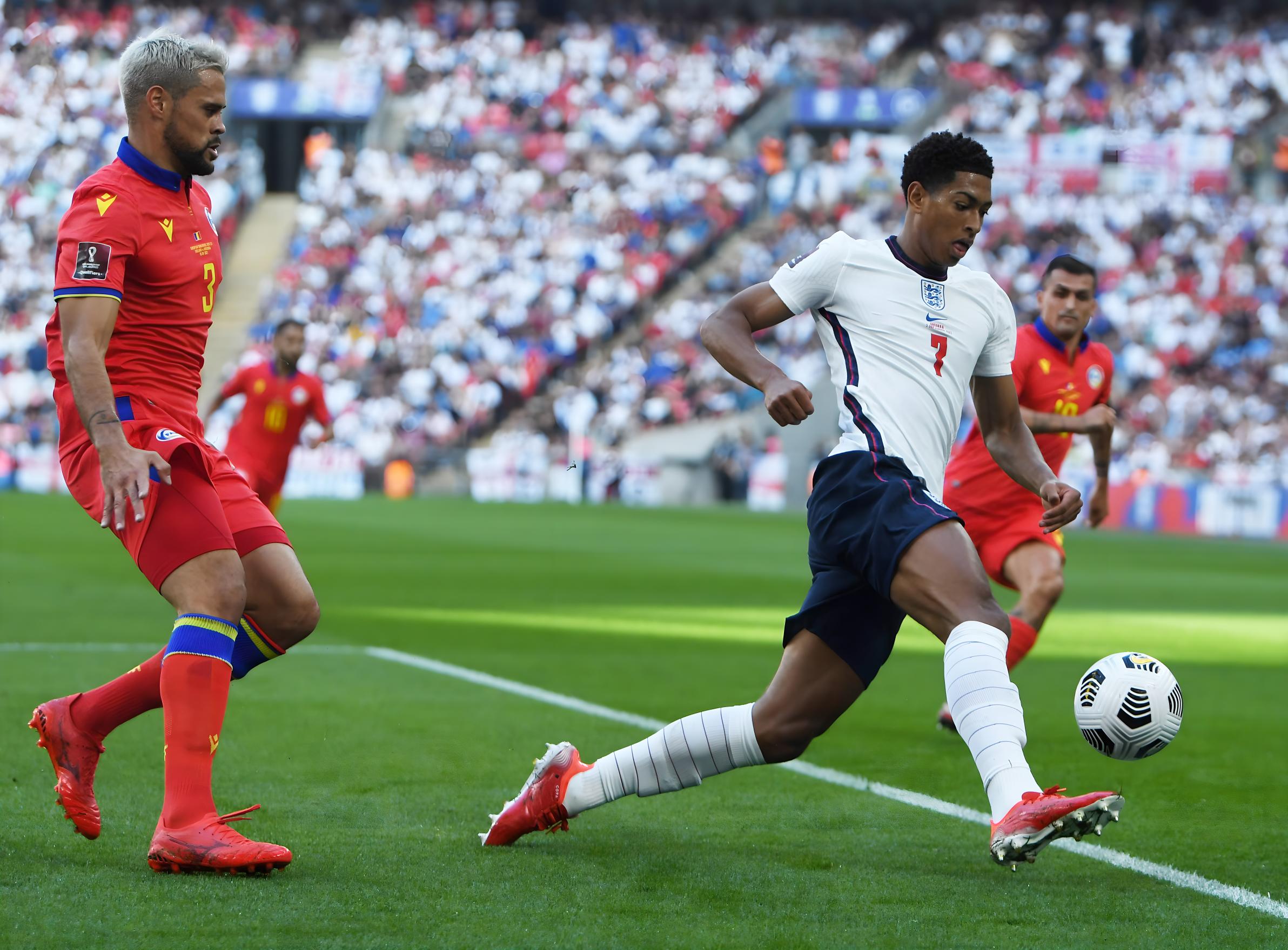 都能释放其 都能释放其